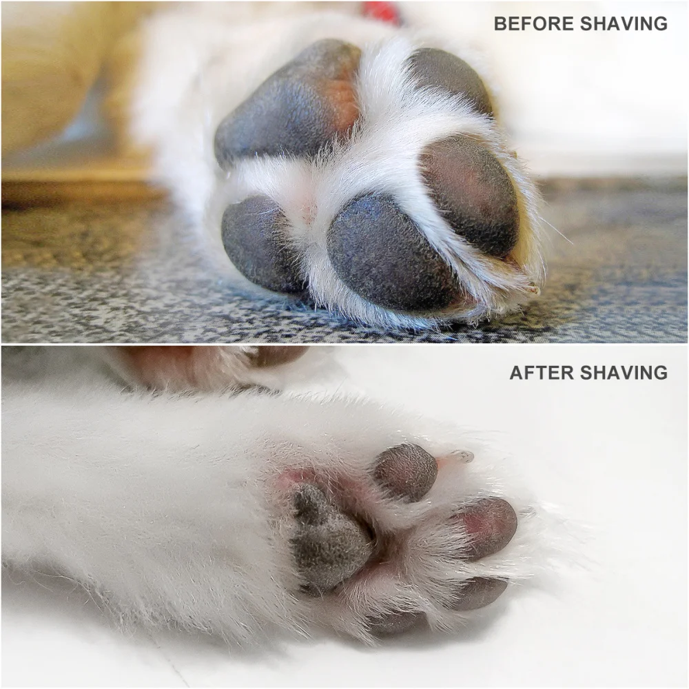 Hair Razor Shaver Multi-functional Safe Adjustable Rechargeable Hair Clipper 1PC POPETPOP
Hair Razor Shaver Multi-functional Safe Adjustable Rechargeable Hair Clipper 1PC POPETPOP