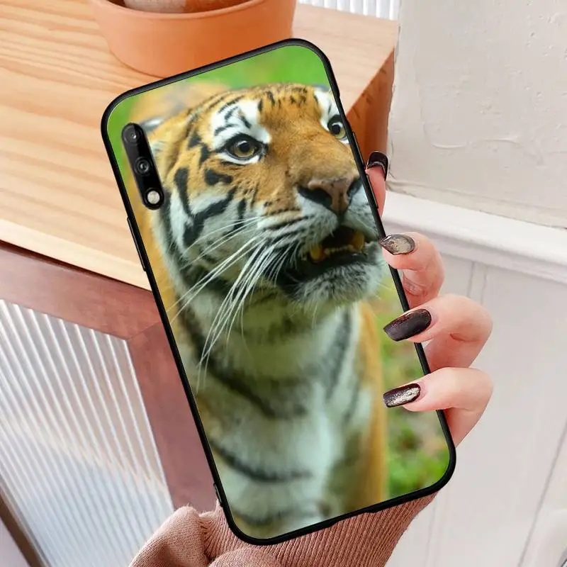 tiger lion leopard Phone Case For Samsung s6 7 8 9 10 20 Edge Plus S10lite 2019 Cover Fundas Coque
tiger lion leopard Phone Case For Samsung s6 7 8 9 10 20 Edge Plus S10lite 2019 Cover Fundas Coque
