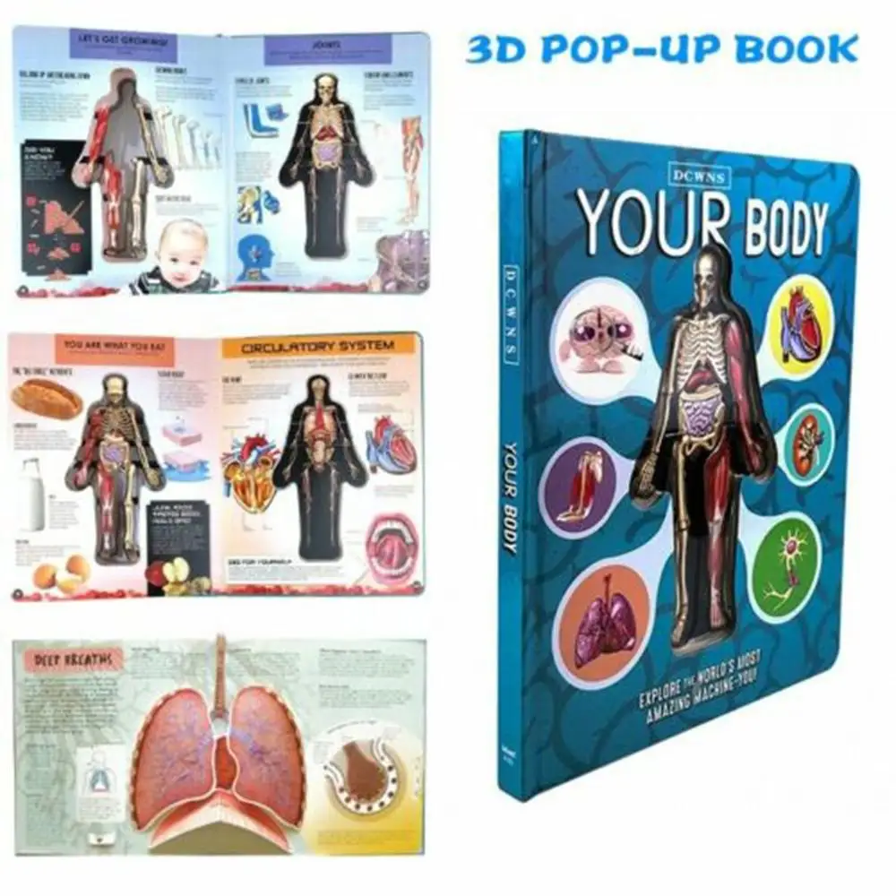 Human Body 3D Picture Book Your Body Flap Book Anatomy Of The Human Body In English Science 3D Book Early Education Book For Kid
Human Body 3D Picture Book Your Body Flap Book Anatomy Of The Human Body In English Science 3D Book Early Education Book For Kid