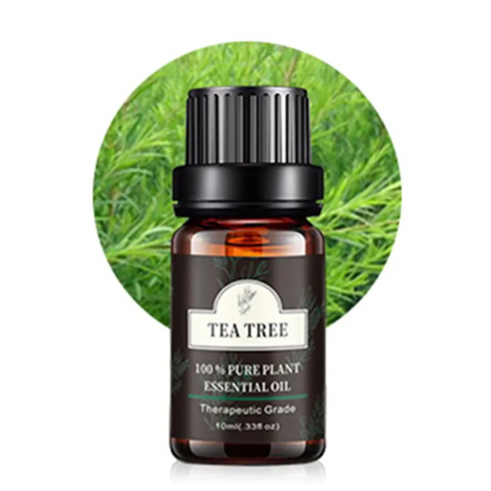 Essential Oil Pure Natural Sandalwood Ylang Natural 10ML Pure Essential Oils Aromatherapy Diffusers Air Fresh Care
Essential Oil Pure Natural Sandalwood Ylang Natural 10ML Pure Essential Oils Aromatherapy Diffusers Air Fresh Care