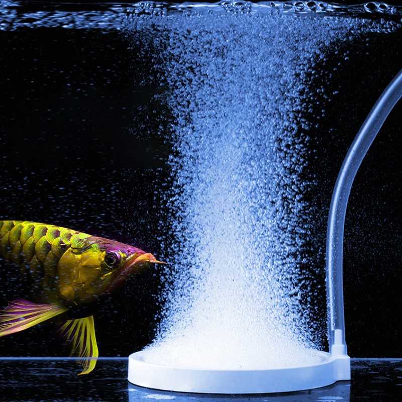 Aquarium Nano bubble tray Mute O2 refiner gas cake nano oxygen pump accessories sand tray tray air pump air bubble stone
Aquarium Nano bubble tray Mute O2 refiner gas cake nano oxygen pump accessories sand tray tray air pump air bubble stone