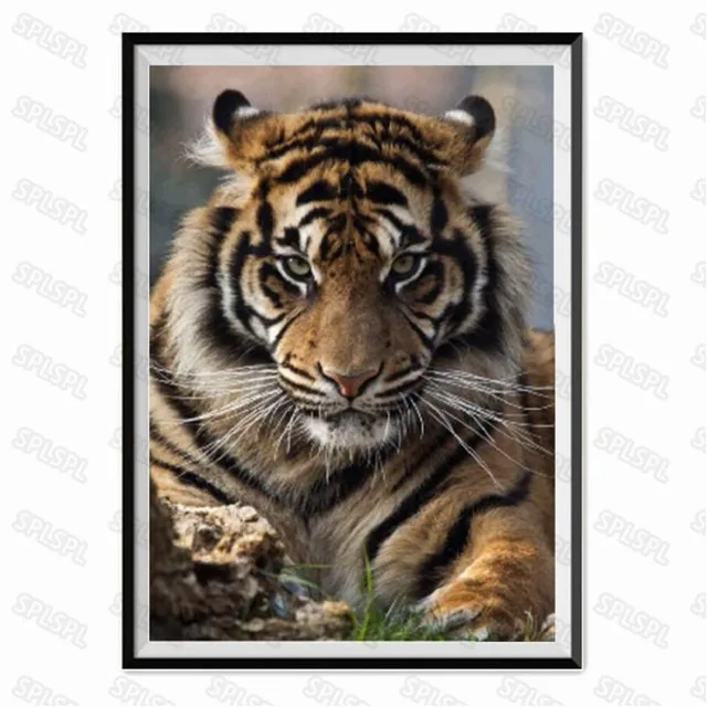 Diy Diamond Painting Niche Religious Belief Witch Cartoon Animation Style Animals Puppy Cat Unicorns Decorative Painting
Diy Diamond Painting Niche Religious Belief Witch Cartoon Animation Style Animals Puppy Cat Unicorns Decorative Painting