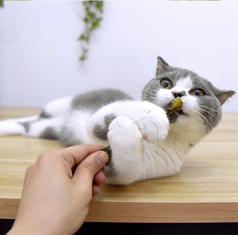 Забавная палочка для кошек, палочка для чистки зубов, чистый стиль, палочка для кошек и животных, жевательная игрушка для кошек, палочка для ...
Забавная палочка для кошек, палочка для чистки зубов, чистый стиль, палочка для кошек и животных, жевательная игрушка для кошек, палочка для ...