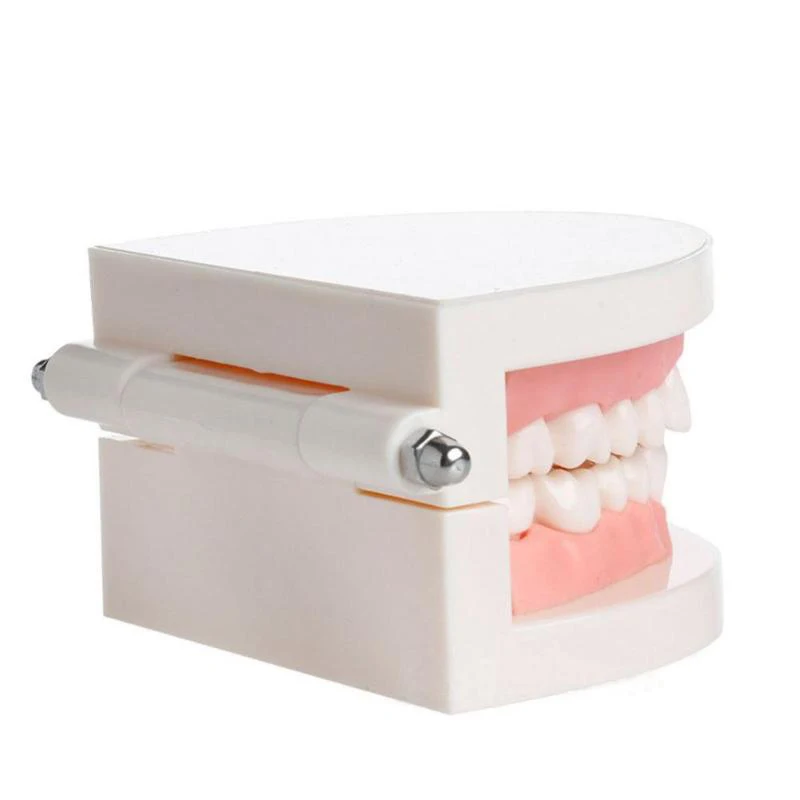Implant Disease Teeth Model for s Teaching Oral Health Care Science Disease Teaching Study
Implant Disease Teeth Model for s Teaching Oral Health Care Science Disease Teaching Study