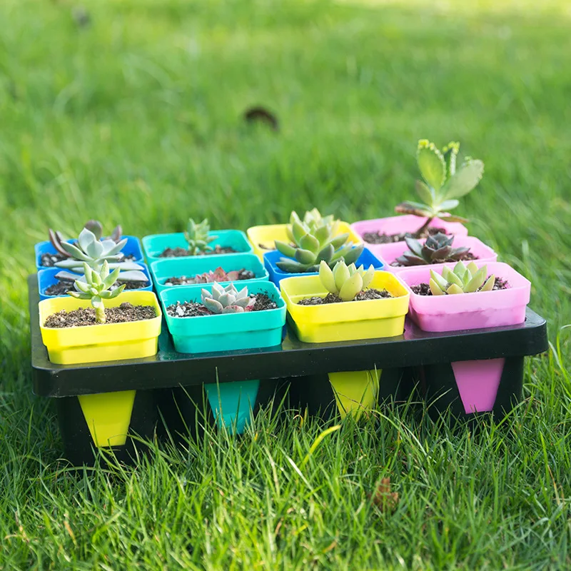 20pcs beautiful mini flower pot succulent flower pot tray plastic seedling pot color random delivery 
20pcs beautiful mini flower pot succulent flower pot tray plastic seedling pot color random delivery
