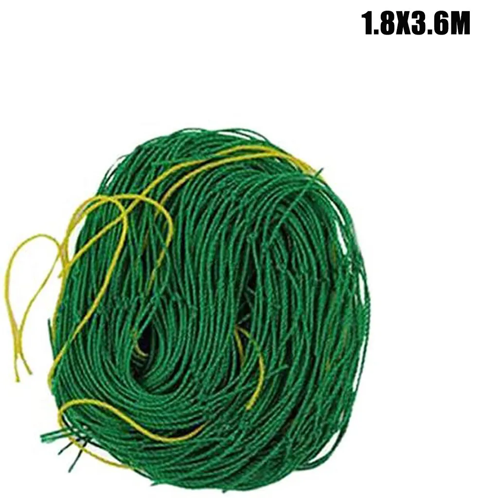Rattan Growth Net Fruit Vegetable Flower Vine Plants Climbing Net Garden For Green Bean Pea Cucumber Tomato Bitter Melon Cuke
Rattan Growth Net Fruit Vegetable Flower Vine Plants Climbing Net Garden For Green Bean Pea Cucumber Tomato Bitter Melon Cuke