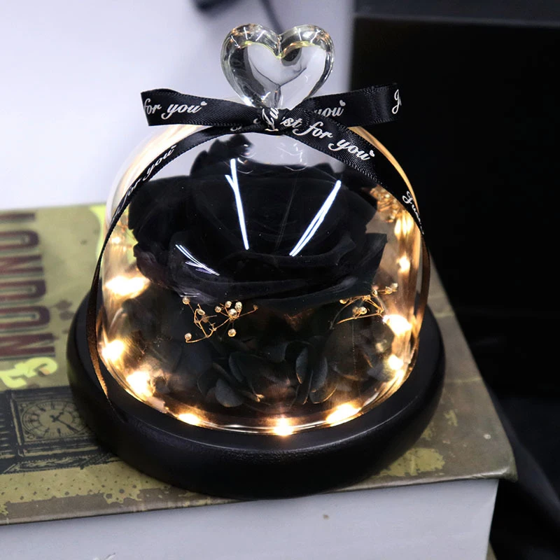Newly Preserved Flower Rose in Glass Dome with Lights Eternal Rose Gift for Valentine's Day Christmas Mother's Day
Newly Preserved Flower Rose in Glass Dome with Lights Eternal Rose Gift for Valentine's Day Christmas Mother's Day
