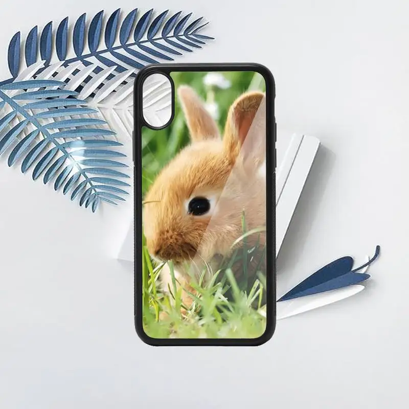 rabbit Phone Case TPU For iPhone X XR XS 11 12 mini Pro MAX 6 6S 7 8 Plus SE 2020
rabbit Phone Case TPU For iPhone X XR XS 11 12 mini Pro MAX 6 6S 7 8 Plus SE 2020