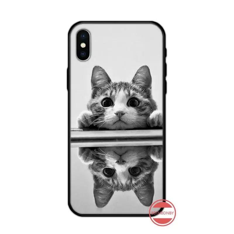 Little Cat cute animal luxury protective Phone Case cover for iPhone 11 12 pro XS MAX 8 7 6 6S Plus X 5S SE 2020 XR 
Little Cat cute animal luxury protective Phone Case cover for iPhone 11 12 pro XS MAX 8 7 6 6S Plus X 5S SE 2020 XR