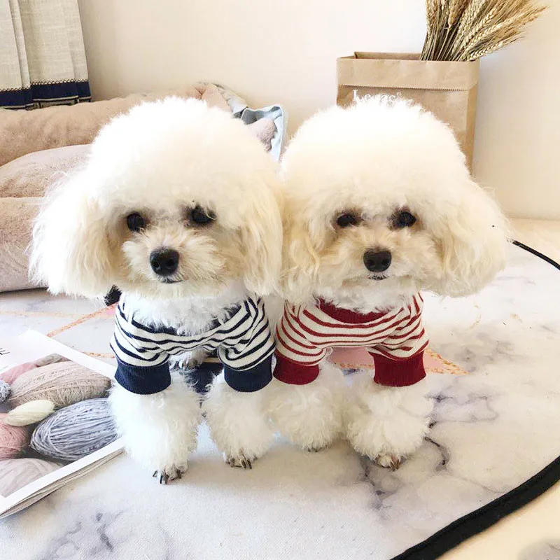 Dog Clothes for Cat French Bulldog poodle schnauzer pomeranian corgi Puppy Clothes Summer Pet clothes
Dog Clothes for Cat French Bulldog poodle schnauzer pomeranian corgi Puppy Clothes Summer Pet clothes