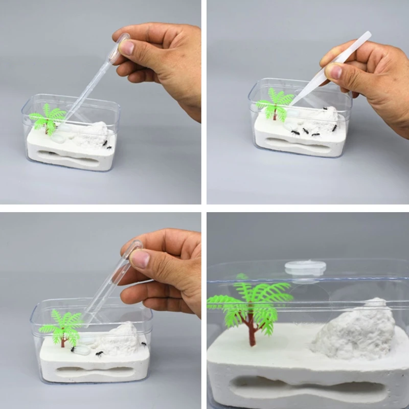 Mini Ant Farm Clear Plastic Box Viewing Area for Live Ants Nature Learning Toy
Mini Ant Farm Clear Plastic Box Viewing Area for Live Ants Nature Learning Toy