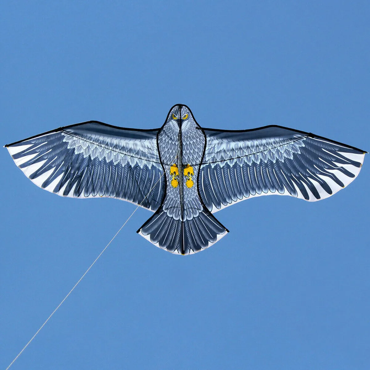 Eagles Kite Huge Toys 74-inch Outdoor Sports Flying Toys Spring Summer Parent-child Toy Lifelike Image norme Jouet Eagles Kite
Eagles Kite Huge Toys 74-inch Outdoor Sports Flying Toys Spring Summer Parent-child Toy Lifelike Image norme Jouet Eagles Kite