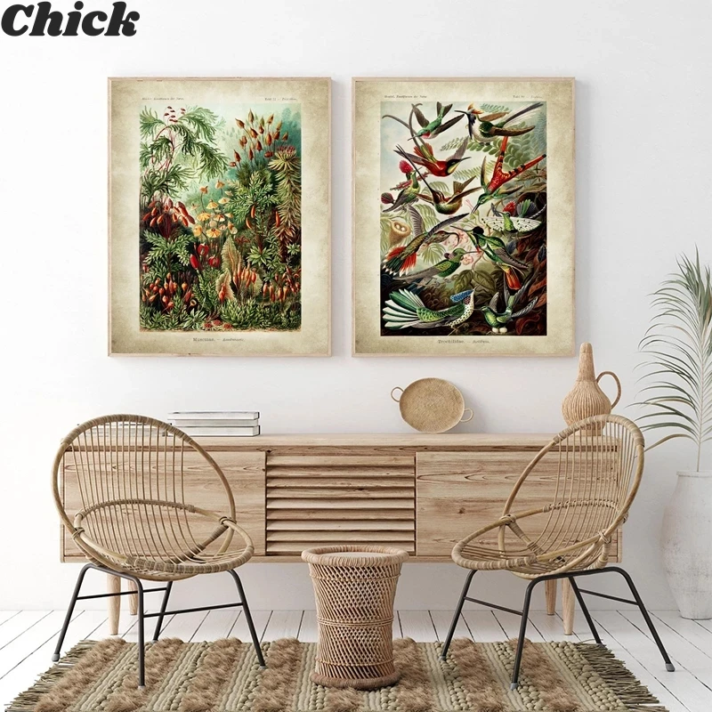 Biology Poster Palm Tree Prints Retro Hummingbird Botanical Garden Tropical Wall Art Canvas Painting Picture Decorative Painting
Biology Poster Palm Tree Prints Retro Hummingbird Botanical Garden Tropical Wall Art Canvas Painting Picture Decorative Painting