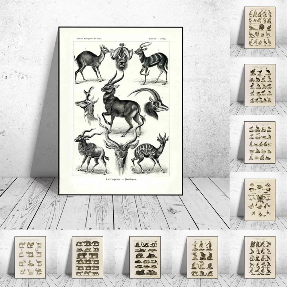 Nordic RETRO art canvas painting animal evolution science poster school living room corridor wall painting home decoration mural
Nordic RETRO art canvas painting animal evolution science poster school living room corridor wall painting home decoration mural