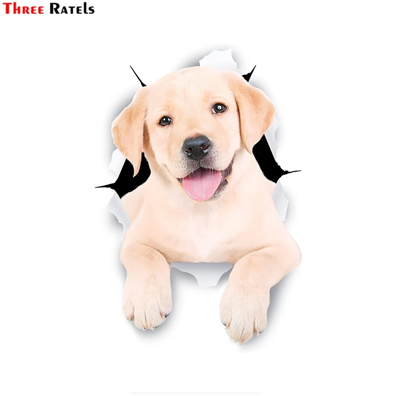 Three Ratels FTC-1101 3D Cute White Labrador Dog Sticker for Car Sticker Kitchen Cabinet Toilet Refrigerator Wall Laptop Decal
Three Ratels FTC-1101 3D Cute White Labrador Dog Sticker for Car Sticker Kitchen Cabinet Toilet Refrigerator Wall Laptop Decal
