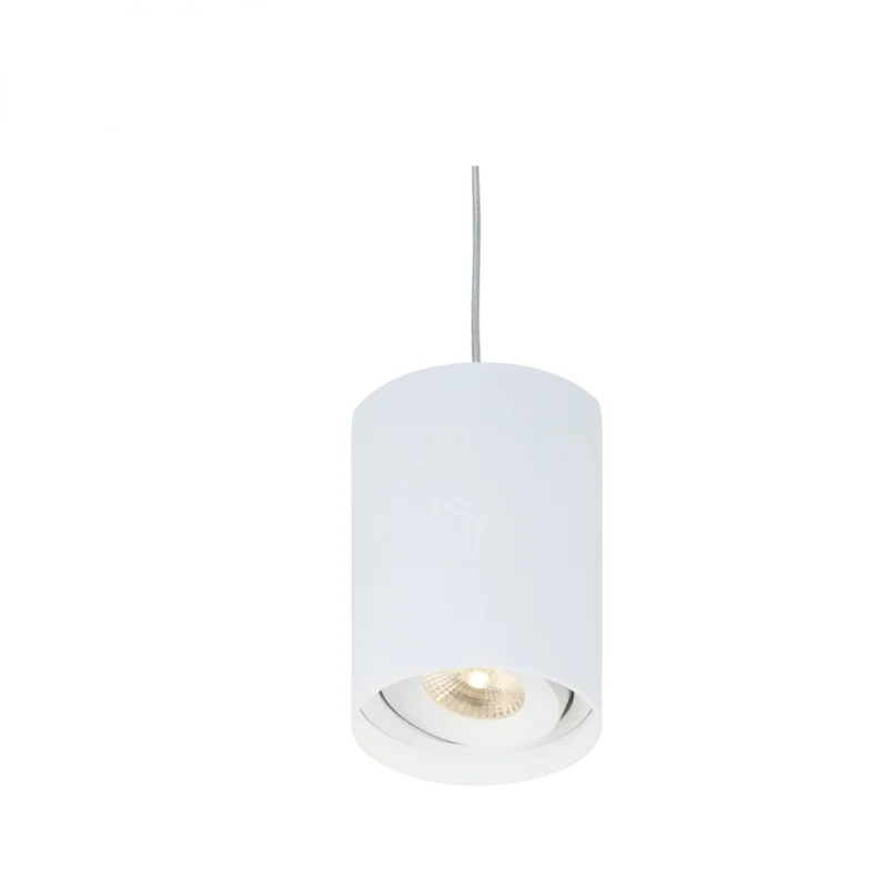 Ceiling Led Suspended Light Cylinder Pendant Light Roll Suspended Luminaires 
Ceiling Led Suspended Light Cylinder Pendant Light Roll Suspended Luminaires