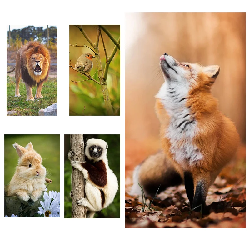 DIY 5D Diamond Painting Full Circle Wonderful Moments Of Animals Picture Cross Stitch Kit Personality Custom Home Decoration
DIY 5D Diamond Painting Full Circle Wonderful Moments Of Animals Picture Cross Stitch Kit Personality Custom Home Decoration