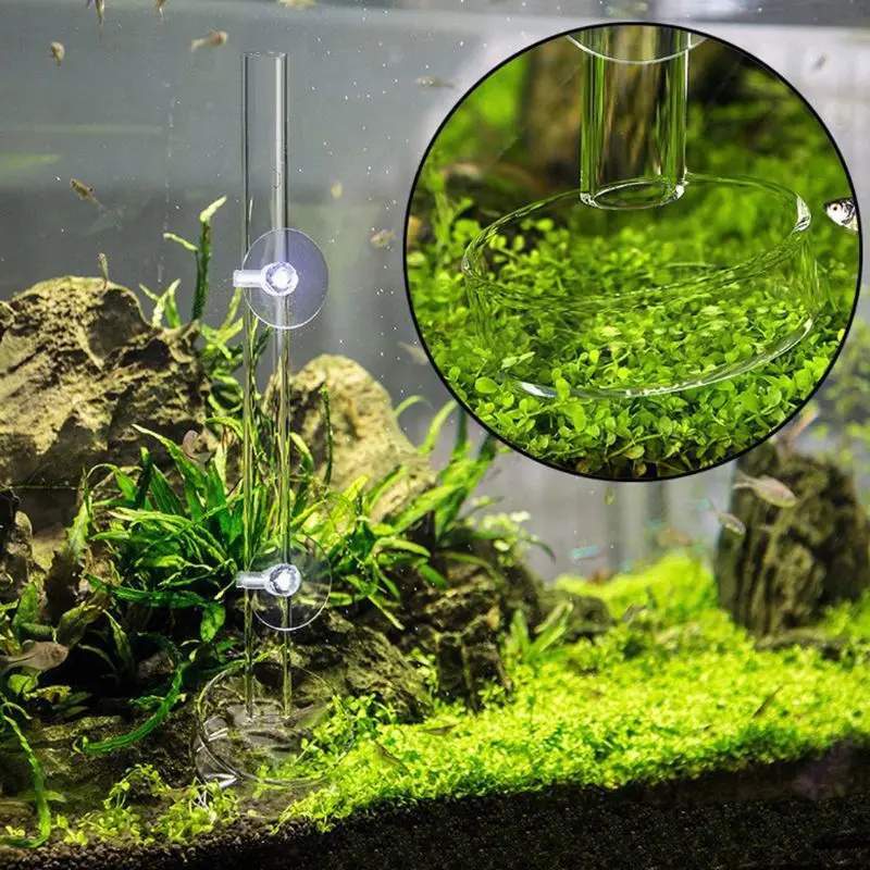 Acrylic Shrimp Feeding Dish Tray Fish Food Feeder Aquarium Fish Tank Feeding Tube Background Decoration K3NA
Acrylic Shrimp Feeding Dish Tray Fish Food Feeder Aquarium Fish Tank Feeding Tube Background Decoration K3NA