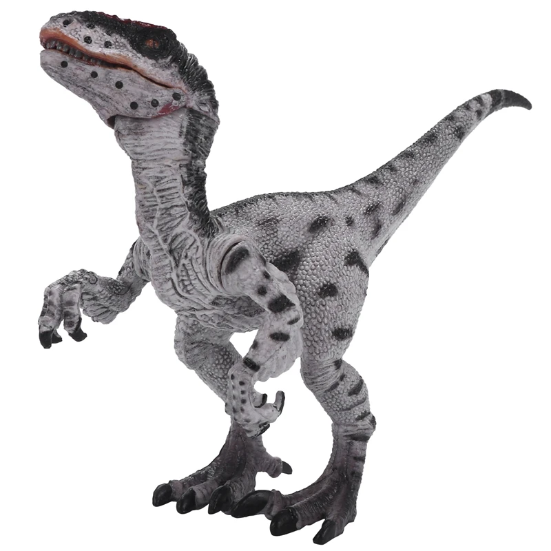 Jurassic Velociraptor Dinosaur Action&Toy Figures Animal Model Collection Learning&Educational Kids Birthday Boy Gift
Jurassic Velociraptor Dinosaur Action&Toy Figures Animal Model Collection Learning&Educational Kids Birthday Boy Gift
