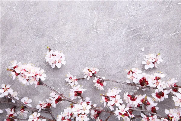 SHENGYONGBAO Vinyl Custom Photography Backdrops Props Flower and Wood Planks theme Photo Studio Background 20212-29
SHENGYONGBAO Vinyl Custom Photography Backdrops Props Flower and Wood Planks theme Photo Studio Background 20212-29