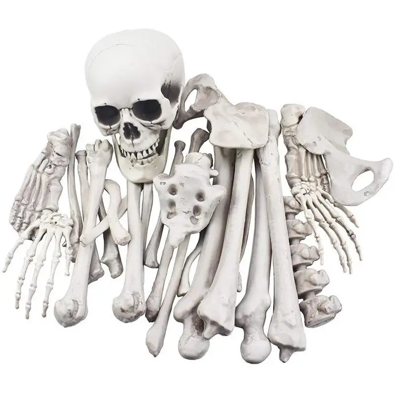 Halloween Skeleton Bones Halloween Prop Skeleton Skull Haunted House Horror Prop Party Decorations 28 Pieces Eve Scary Halloween
Halloween Skeleton Bones Halloween Prop Skeleton Skull Haunted House Horror Prop Party Decorations 28 Pieces Eve Scary Halloween