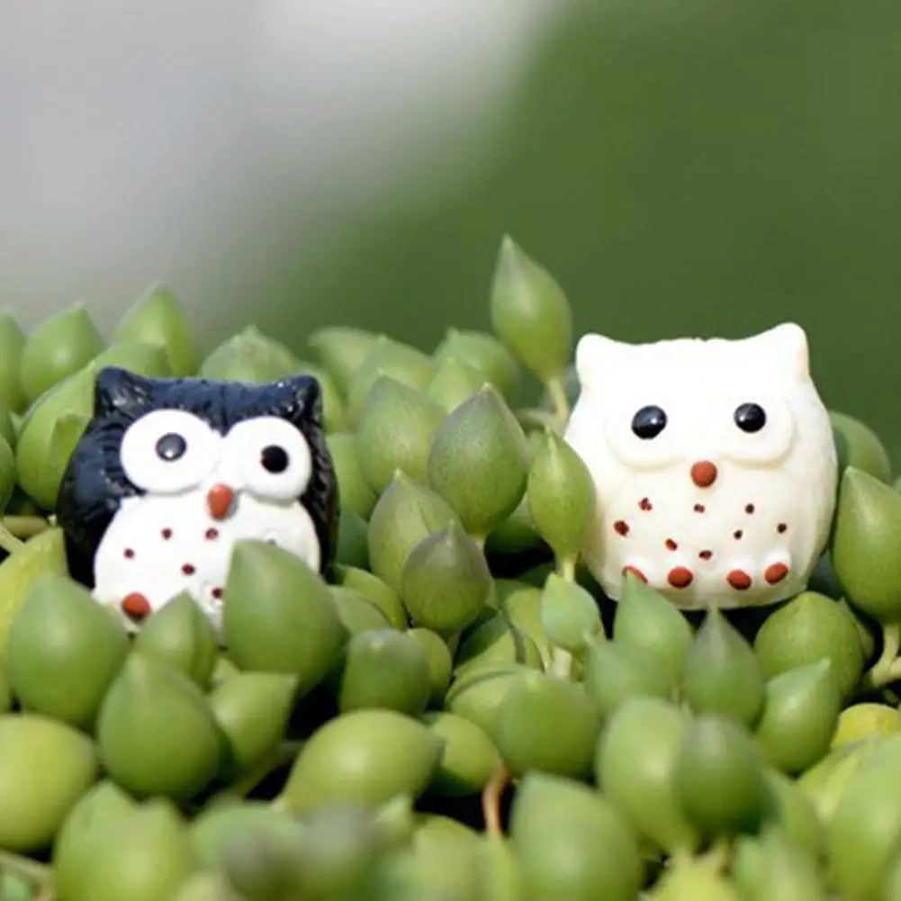 5Pcs Owl Sculptures Eco-friendly Anti-fade Resin Miniature Owl Ornaments for Home
5Pcs Owl Sculptures Eco-friendly Anti-fade Resin Miniature Owl Ornaments for Home