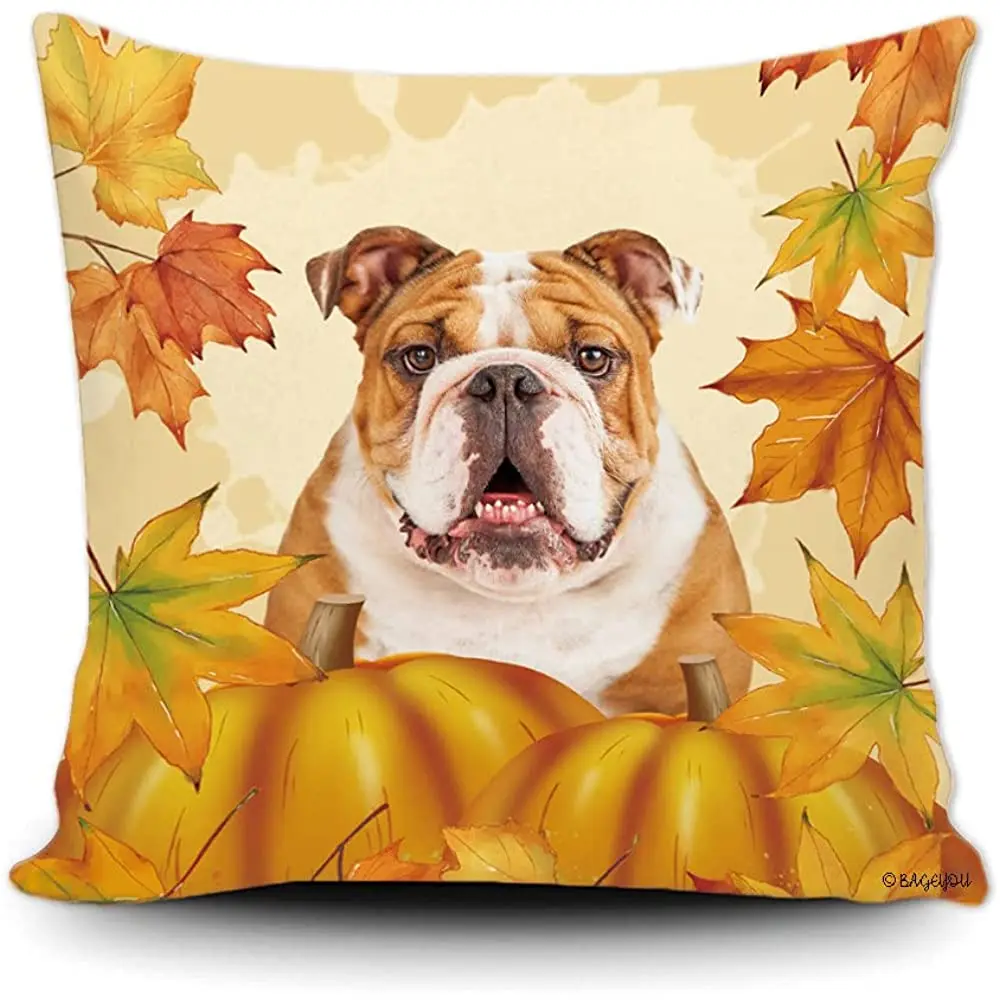 BAGEYOU Fall Maple Leaves Dog Throw Pillow Cover Bulldog in The Pumpkin Patch Autumn Decor Home Couch Cushion Short Plush
BAGEYOU Fall Maple Leaves Dog Throw Pillow Cover Bulldog in The Pumpkin Patch Autumn Decor Home Couch Cushion Short Plush