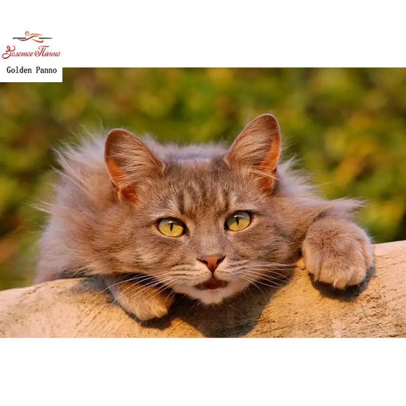 5D Diamond Painting Square Diamond Pet Cat Animal Animal Art Home Decoration Embroidery Full Diamond Square
5D Diamond Painting Square Diamond Pet Cat Animal Animal Art Home Decoration Embroidery Full Diamond Square