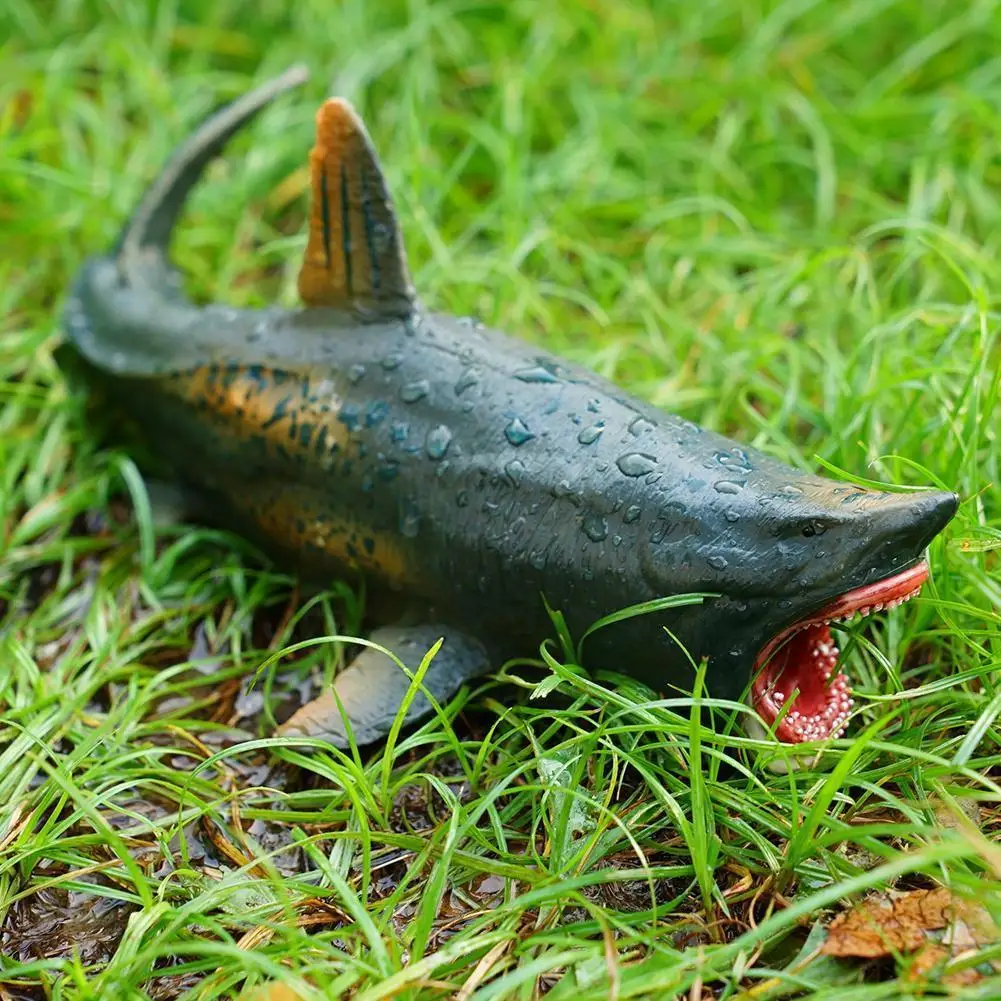 Классическая Имитация морской жизни, модель подводного мира, полые акулы, игрушка, подарок, Акула, день рождения, детские зубы, белые гиганты...
Классическая Имитация морской жизни, модель подводного мира, полые акулы, игрушка, подарок, Акула, день рождения, детские зубы, белые гиганты...