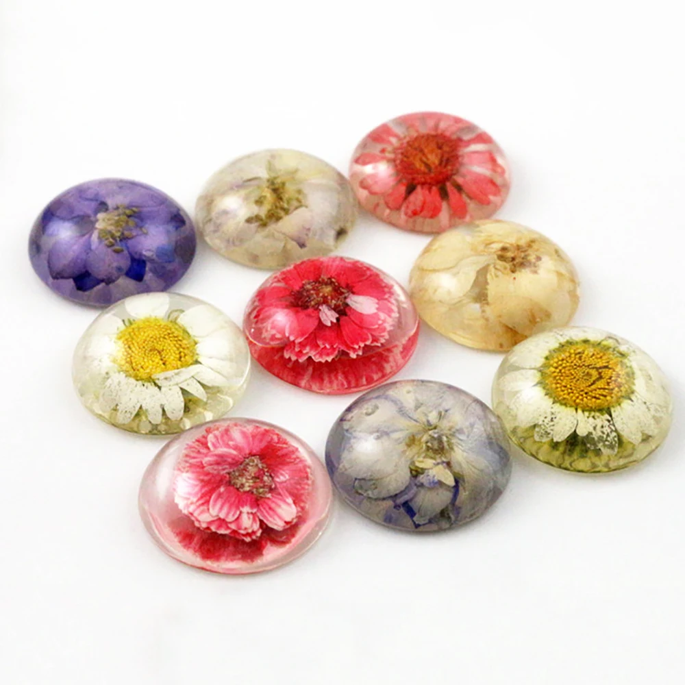 

New Fashion 5pcs 25mm Mixed Color Natural Dried Flowers Flat Back Resin Cabochons Cameo G3-26