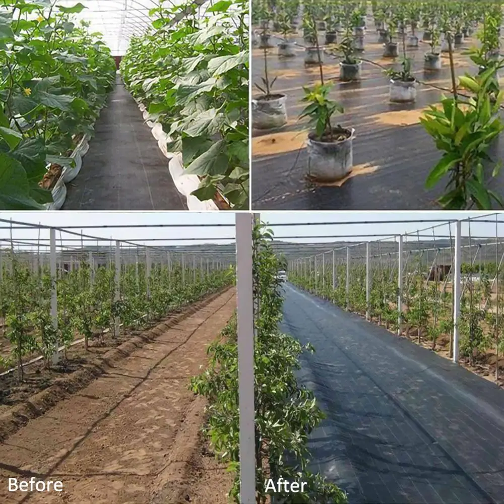 3/5m Agriculture Greenhouse Garden Weed Control Orchard Landscape Plant Weeding Ground Cloth Cover Anti-Grass Ground Mats 
3/5m Agriculture Greenhouse Garden Weed Control Orchard Landscape Plant Weeding Ground Cloth Cover Anti-Grass Ground Mats