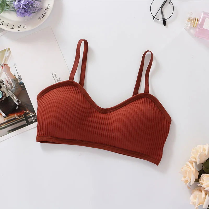 Padding Bralette Push Up Bras For Women Wire Free Bra Brassiere Seamless Underwear Comfort Intimates Female Bra Sexy Lingerie
Padding Bralette Push Up Bras For Women Wire Free Bra Brassiere Seamless Underwear Comfort Intimates Female Bra Sexy Lingerie