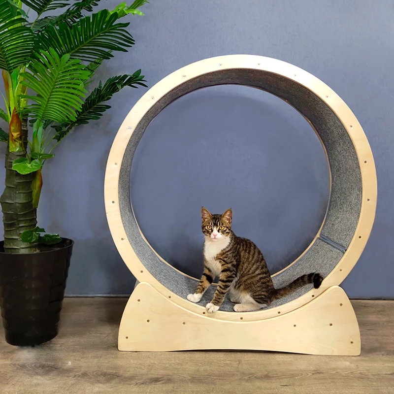Factory wholesale wooden Pet toys cat climbing frame wheel cat sports toy cat scratching treadmill running wheel
Factory wholesale wooden Pet toys cat climbing frame wheel cat sports toy cat scratching treadmill running wheel