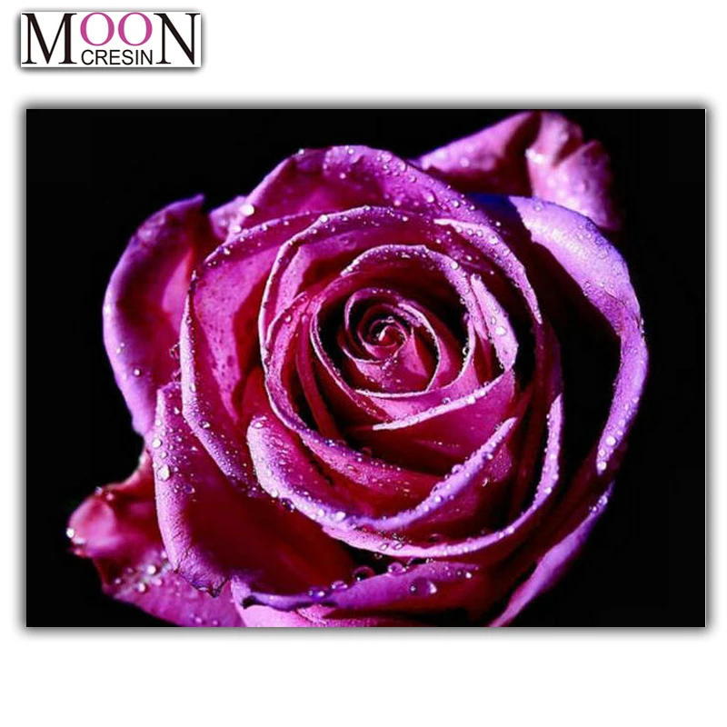 5D Diy Diamond Mosaic Fuchsia Rose Diamond Painting Full Square Round Drill Diamond Embroidery Cross Stitch Rhinestones Flowers,
5D Diy Diamond Mosaic Fuchsia Rose Diamond Painting Full Square Round Drill Diamond Embroidery Cross Stitch Rhinestones Flowers,