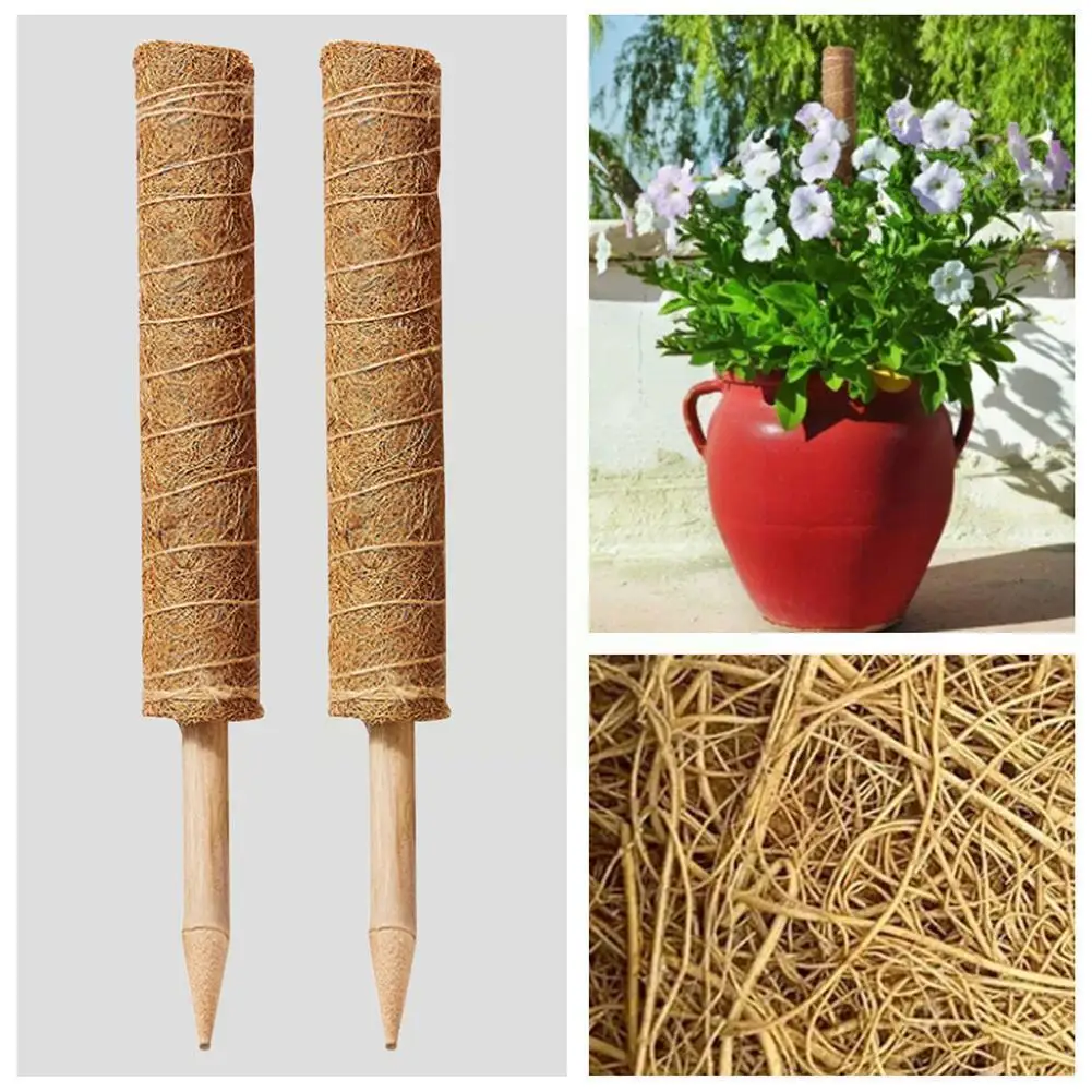 Plant Support Rod Bracket Climbing Frame Winding Green Plant Sclerotium Tool Middle Moss Climbing Vine Support Bamboo Q3a2
Plant Support Rod Bracket Climbing Frame Winding Green Plant Sclerotium Tool Middle Moss Climbing Vine Support Bamboo Q3a2