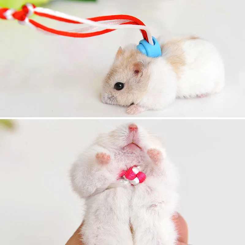 Adjustable Pet Hamster Harness Rope Gerbil Woven Harness Leash Collar for Rabbit Squirrel Pet
Adjustable Pet Hamster Harness Rope Gerbil Woven Harness Leash Collar for Rabbit Squirrel Pet