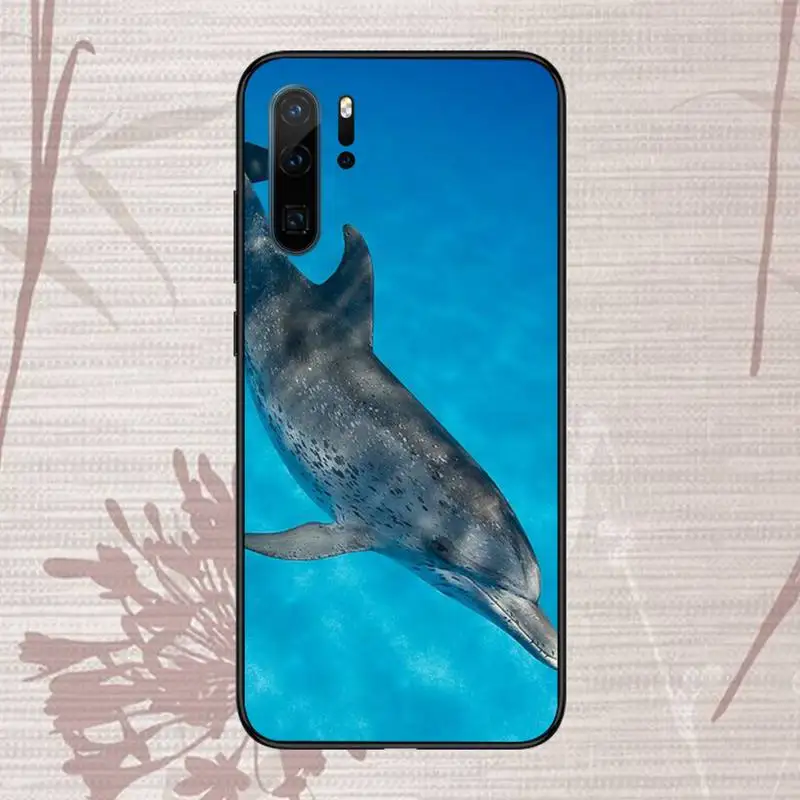 dolphin cute Phone Case For Huawei P20 P30 P40 lite Pro P Smart 2019 Mate 10 20 Lite Pro Nova 5t
dolphin cute Phone Case For Huawei P20 P30 P40 lite Pro P Smart 2019 Mate 10 20 Lite Pro Nova 5t