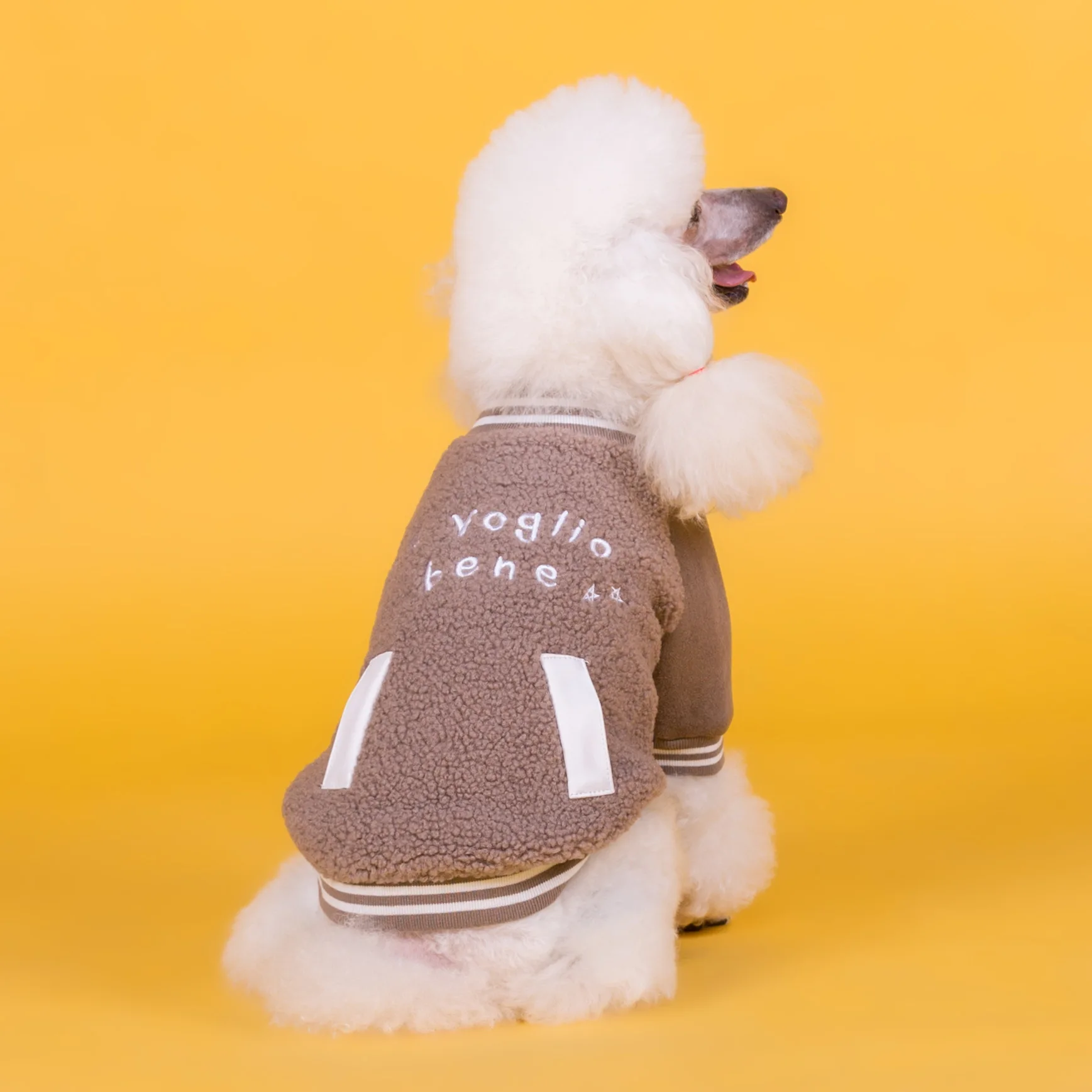 2021 New Simple Pet Clothes Autumn And Winter New Cashmere Coat Dog Clothes Pet Supplies Small Puppy Coat Gift
2021 New Simple Pet Clothes Autumn And Winter New Cashmere Coat Dog Clothes Pet Supplies Small Puppy Coat Gift