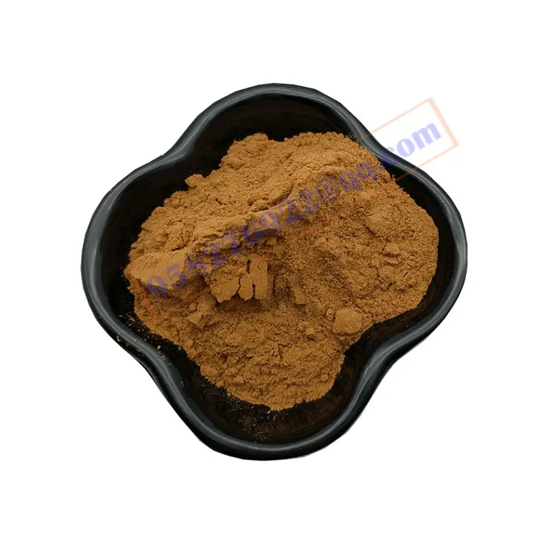 Rehmanniae Extract Radix Extract Pure Natural Radix 10:1 Rehmannia Glutinosa Libosch Extract
Rehmanniae Extract Radix Extract Pure Natural Radix 10:1 Rehmannia Glutinosa Libosch Extract