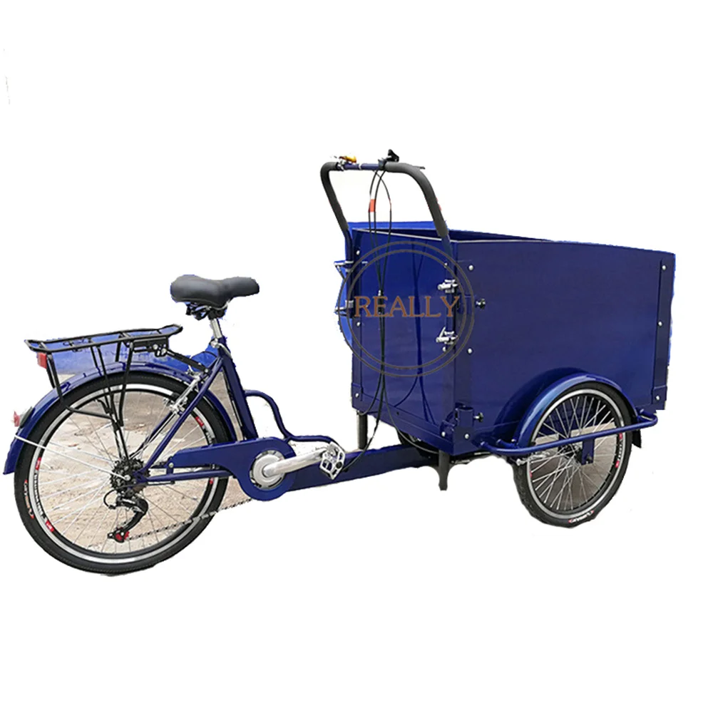 

Hot Selling Home Use Commercial Sale Cargo Carrier Tricycle Bike Electric Cargo Bicycle Food Bike in China