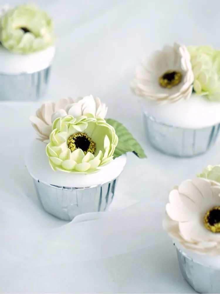 Festive & Party Supplies
Festive & Party Supplies