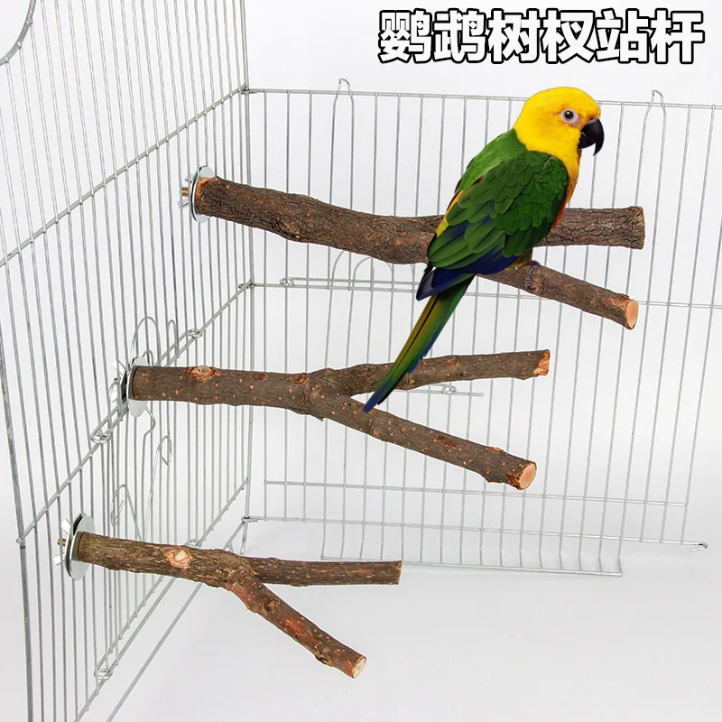 Pet Parrot Wooden Tree Branch Bird Thick Branch Bifurcated Double Tree Fork Squirrel Playground Net Cage Bird Accessories 3 PCS
Pet Parrot Wooden Tree Branch Bird Thick Branch Bifurcated Double Tree Fork Squirrel Playground Net Cage Bird Accessories 3 PCS