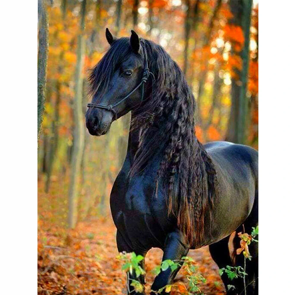 5D DIY Diamond Painting Full Square/Round Drill Diamond Embroidery Kit Horse Cross Stitch Animal Needlework Home Decor
5D DIY Diamond Painting Full Square/Round Drill Diamond Embroidery Kit Horse Cross Stitch Animal Needlework Home Decor