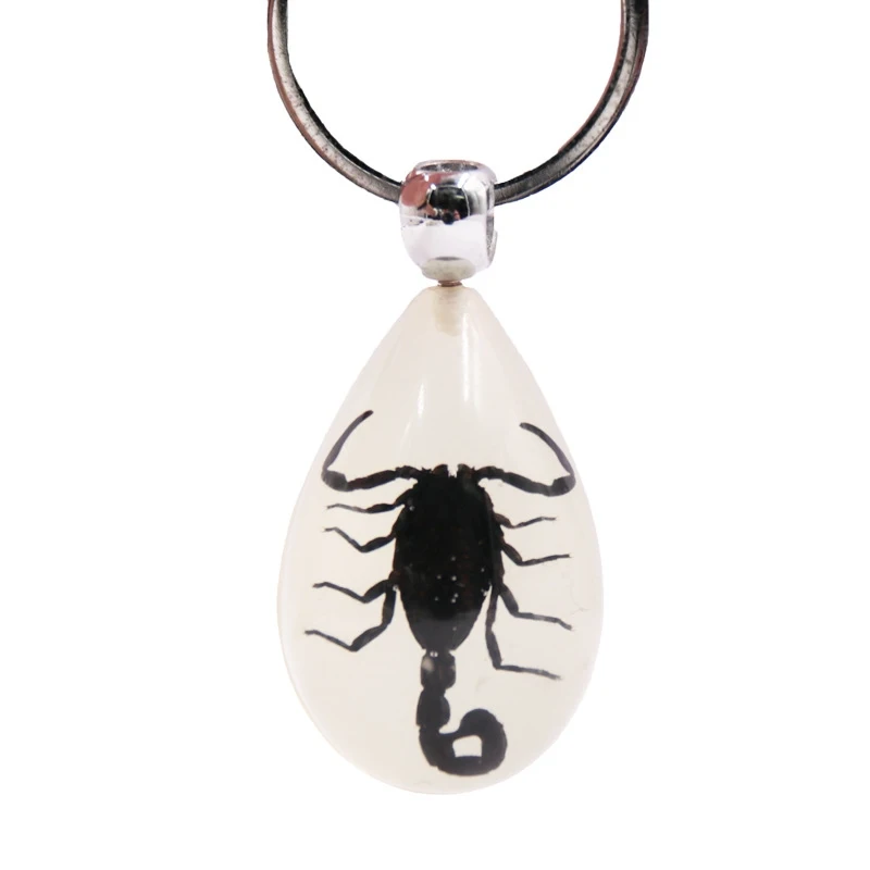 

Creative Luminous Ant Scorpion Keychain - New Luminous Product Real Crab and Scorpion Key Chain Bag Car Key Ring