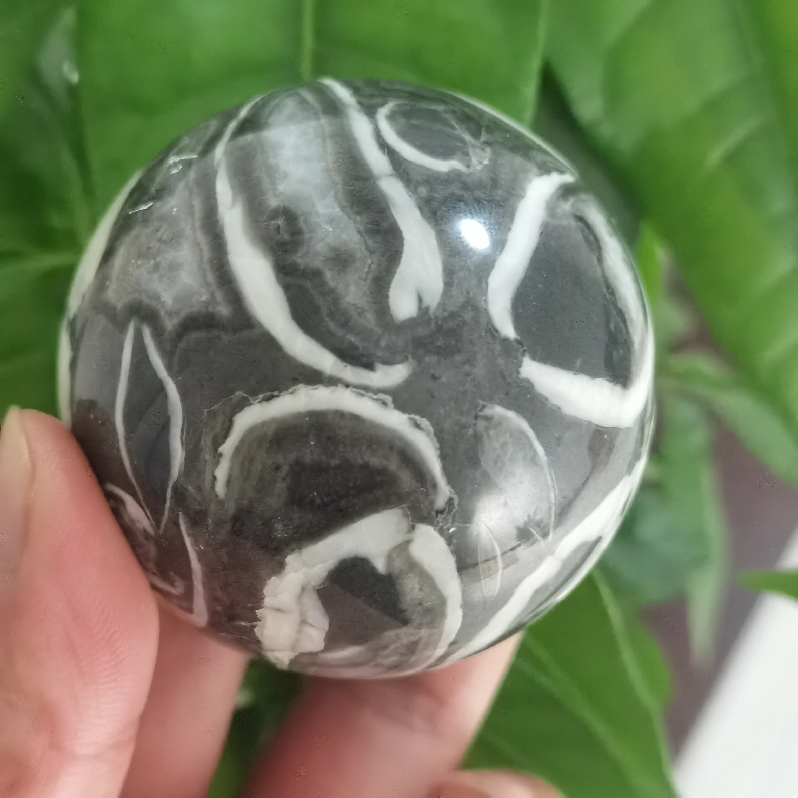 1pc top Natural beautiful Shell Jasper Thousand Eye Stone crystal ball healing stone
1pc top Natural beautiful Shell Jasper Thousand Eye Stone crystal ball healing stone