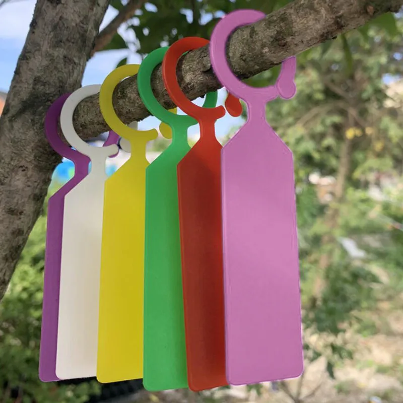 100 Pieces Of Ring Plastic Hanging Tags Garden Plant Pot Tag Reusable Waterproof Thick Hook Tree Tag Decoration Tool
100 Pieces Of Ring Plastic Hanging Tags Garden Plant Pot Tag Reusable Waterproof Thick Hook Tree Tag Decoration Tool