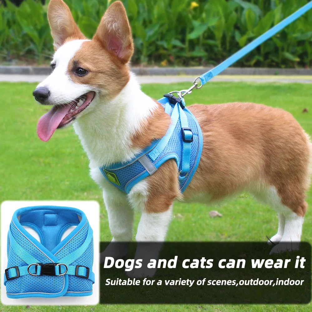 Reflective Dog Vest Walking Traction Rope Adjustable Chihuahua Dog Collar Polyester Mesh Strap Is Suitable For Small And Medium-
Reflective Dog Vest Walking Traction Rope Adjustable Chihuahua Dog Collar Polyester Mesh Strap Is Suitable For Small And Medium-