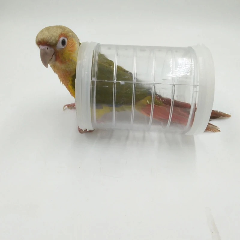 Parrot Bird Toy Foraging Intelligence Training Props Bird training Parrot intellectual Toy Educational Interactive Prop Creative
Parrot Bird Toy Foraging Intelligence Training Props Bird training Parrot intellectual Toy Educational Interactive Prop Creative