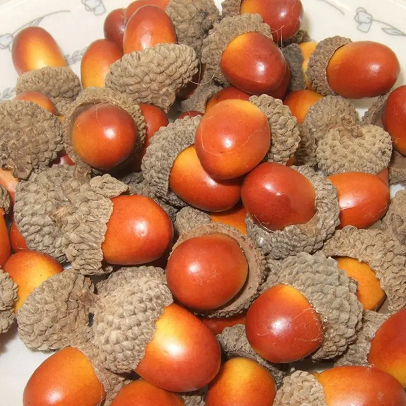 50pcs Artificial Simulation Small Acorn Plant Ornament Fake Fruit Autumn for Home Kitchen Glass Bowl Decoration Photo Props
50pcs Artificial Simulation Small Acorn Plant Ornament Fake Fruit Autumn for Home Kitchen Glass Bowl Decoration Photo Props