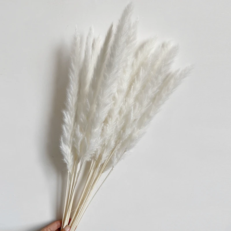 15Pcs Dried flowers Grass Flowers Pantas Artificiales Para Decoracion Real Plants Home Decor Wedding Decoration gifts
15Pcs Dried flowers Grass Flowers Pantas Artificiales Para Decoracion Real Plants Home Decor Wedding Decoration gifts